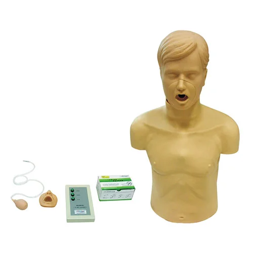 成人气道梗塞及CPR模型​​KAS/CPR186