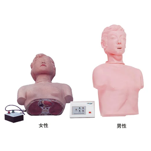 儿童复苏模拟人KAS/CPR180