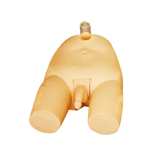 男性膀胱穿刺模型KAS-29E