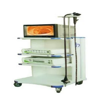 电子结肠镜EMV-400