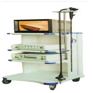 电子上消化道镜(电子胃镜）EMV-200