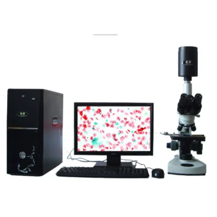 迈朗高倍智能变焦数码显微分析仪sj-tmdi810（I）