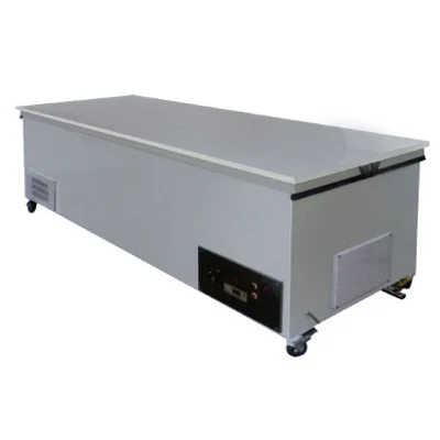电动齿轮螺柱升降冷藏解剖台YLM-2002A-Ⅵ